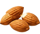 Mandula