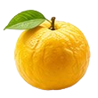 Yuzu